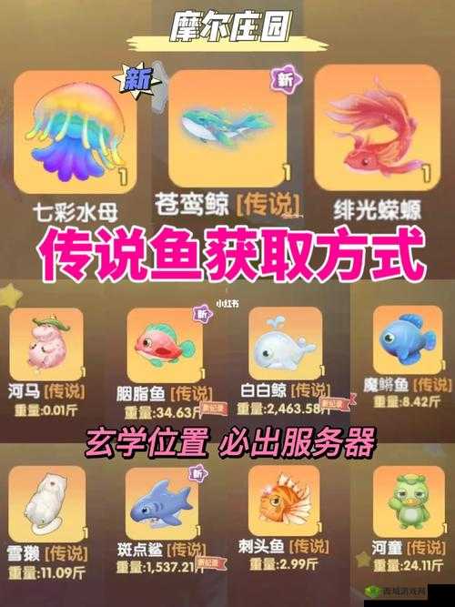 摩尔庄园:黄金锦鲤钓鱼攻略