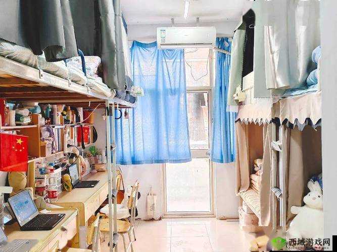 宿舍 H3C:打造舒适温馨的居住环境