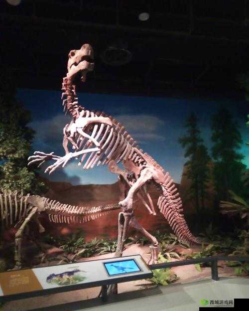 我的化石博物馆圆顶龙解锁全攻略:轻松获取圆顶龙的详细指南