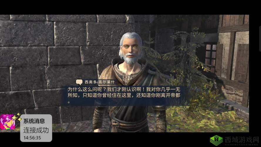 上古卷轴刀锋深渊模式攻略:探险者的生存与挑战之路