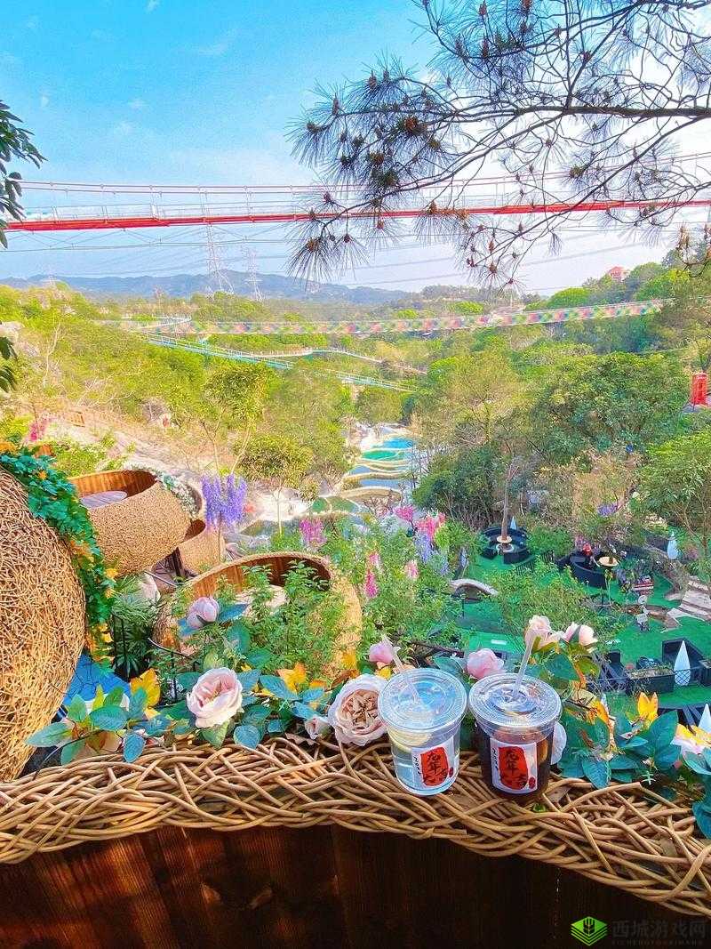 妈妈桃花源洞口:亲子时光的梦幻仙境