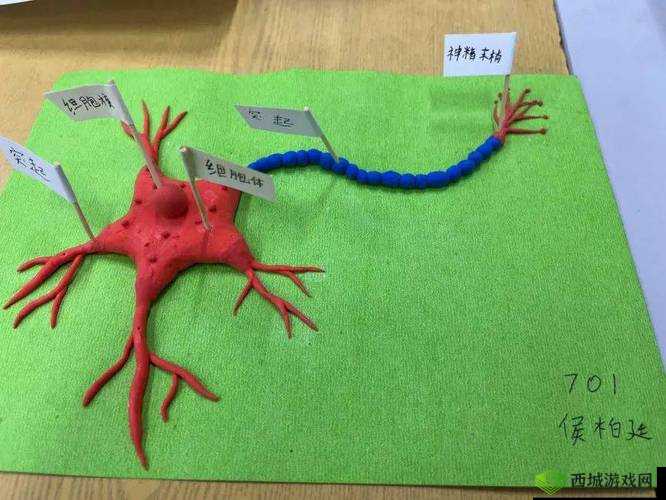 我成了生物课的教具篇 1:探索生命的奥秘