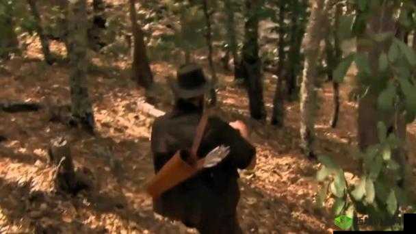 卡一卡二卡三无人区乱码入:荒野求生的刺激挑战