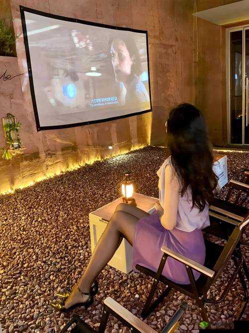 成都私人小影院品牌加盟海贼王:开启全新体验之旅