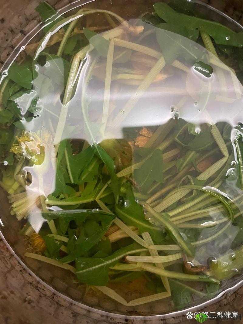 超级胬肉系统:神奇的力量之源