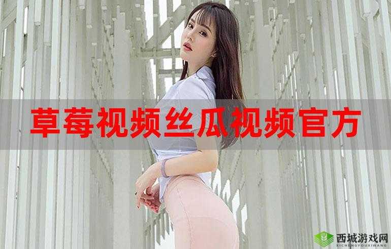 丝瓜草莓小猪鸭脖视频 APP 免费：精彩内容等你看