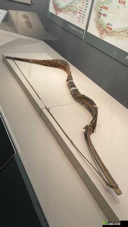 百骨弓:独特的古代武器与艺术品