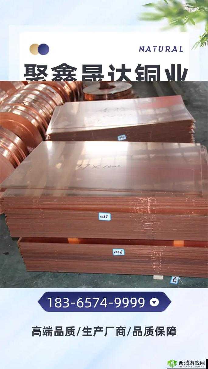 铜铜铜好大好深色板券:品质卓越的独特选择