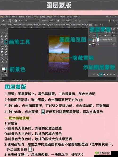PS 一级二级调色大片视频教程大全:从入门到精通