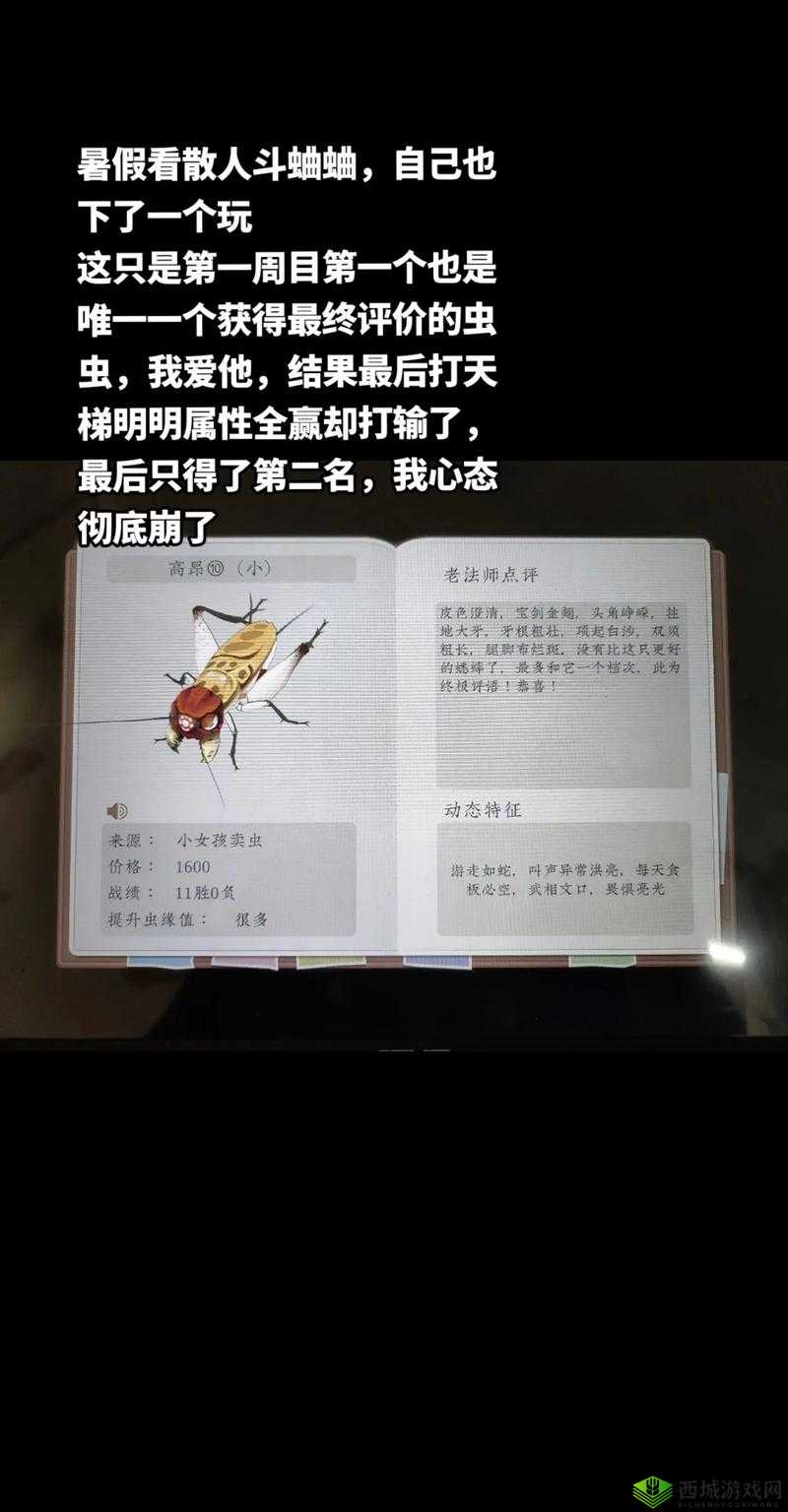 沉默蟋蟀怎么进化的:其进化历程探究