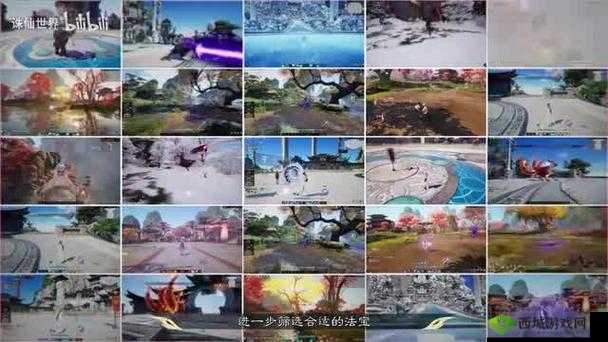 雨中冒险:双人联机世界畅游指南