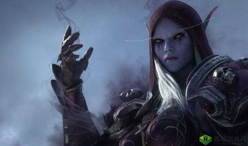 暗影降临:黑暗游侠的传奇之旅