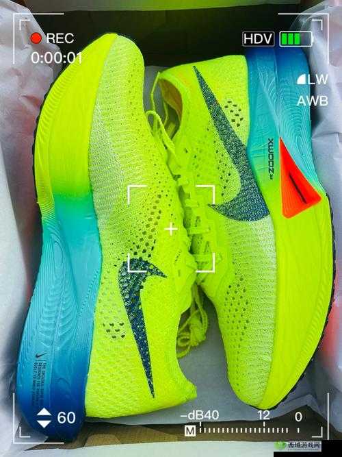 Zoom 另一类 ZZO0:独特的存在