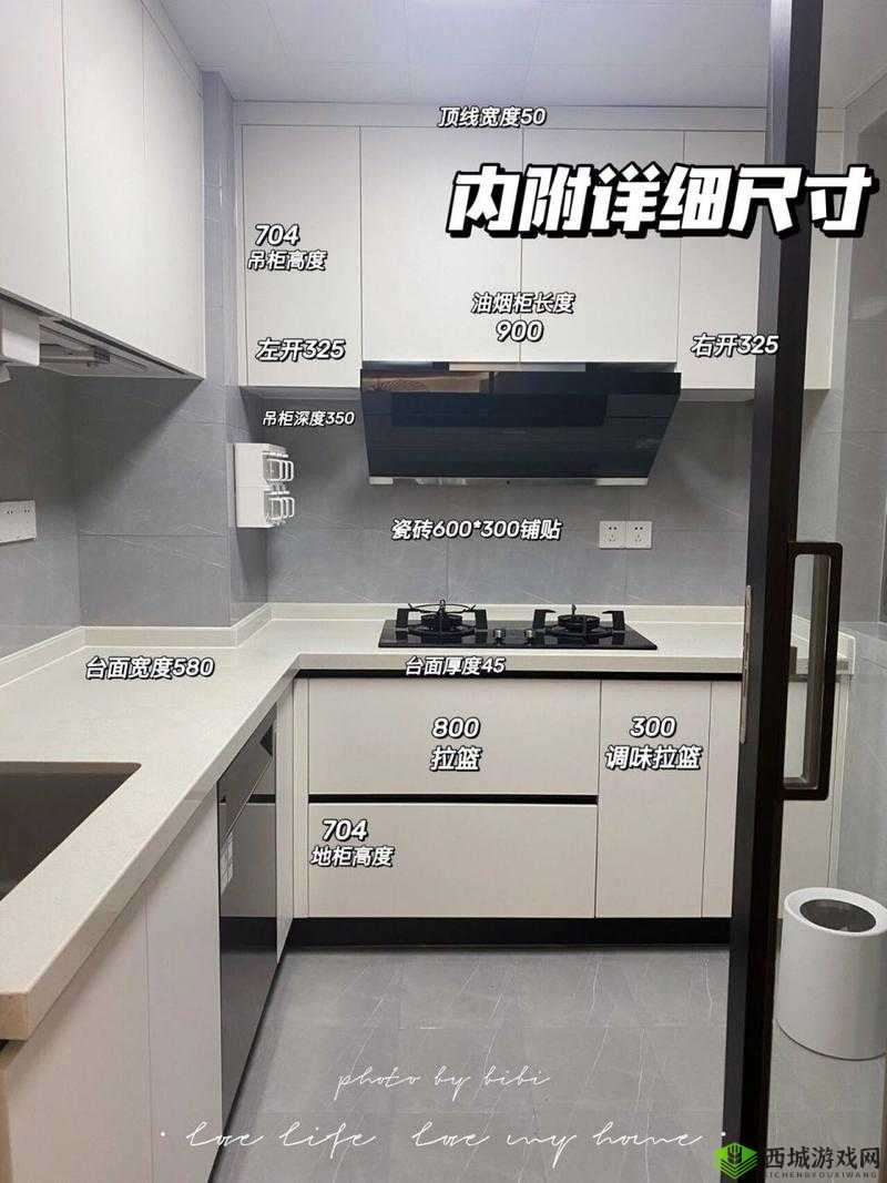 我想和你从厨房到阳台的浪漫：携手一生