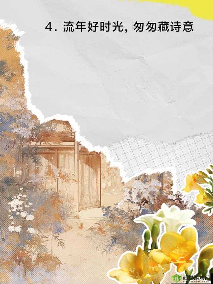 HDHDHDXXXX 复古:探寻旧日时光之美