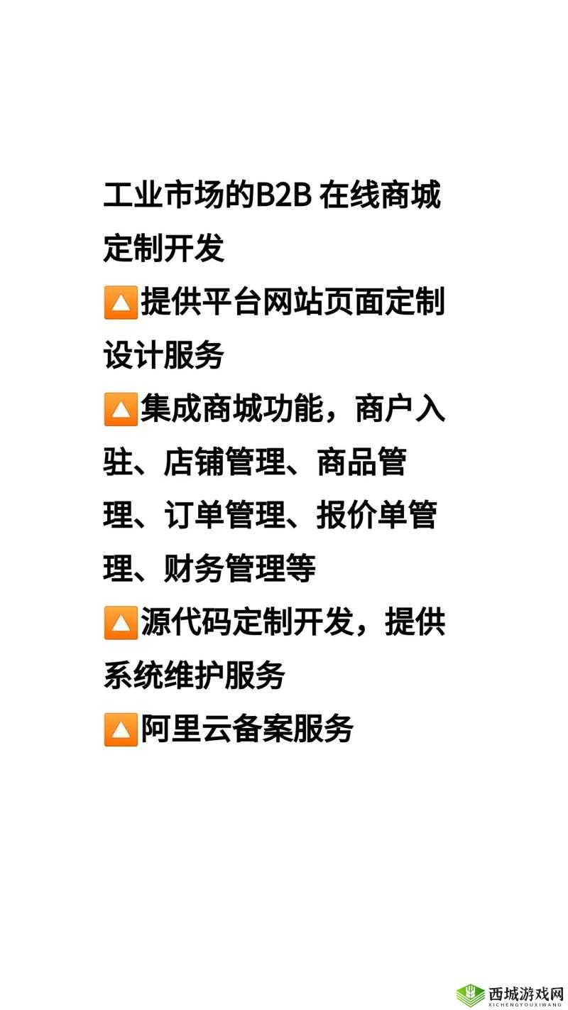 B2B 网站推广 WWW:开启商业新途径