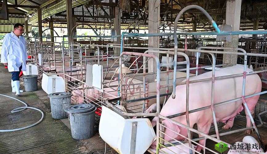 人马畜禽 CROPROATION:探索生态养殖新模式