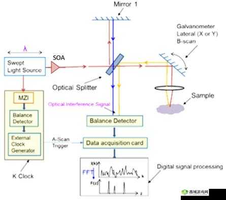 SOA 光放大器:性能优势与应用领域探索