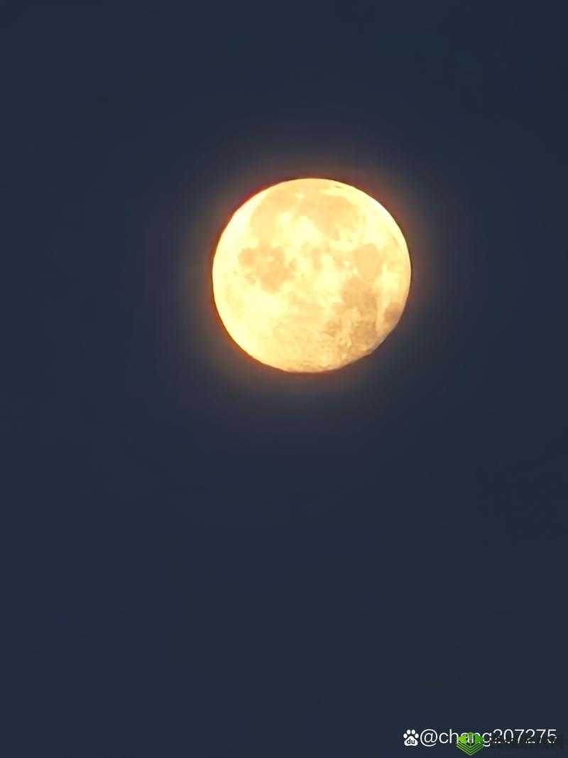 张少爷江湖奇遇:包裹之谜的揭秘