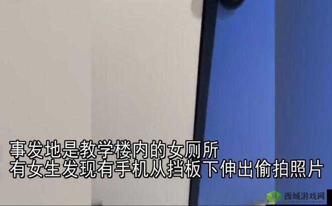 靓女偷窥女厕内浓密毛发相关事件