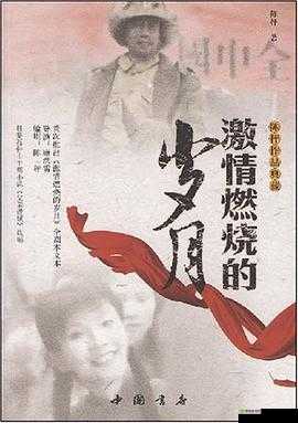 18-19HD:激情燃烧的岁月