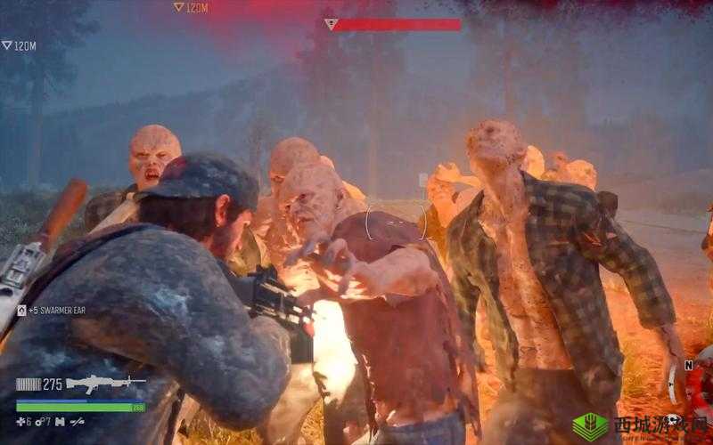 如果往日不再遭遇尸潮该如何应对未来危机