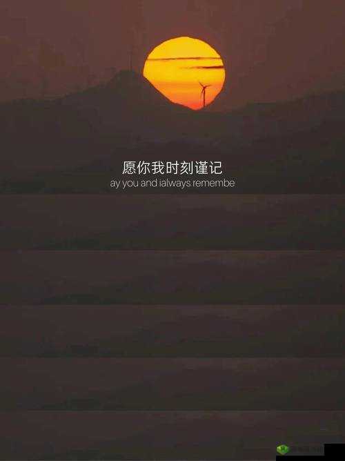 夜半一对一聊天:心灵的私密倾诉时刻