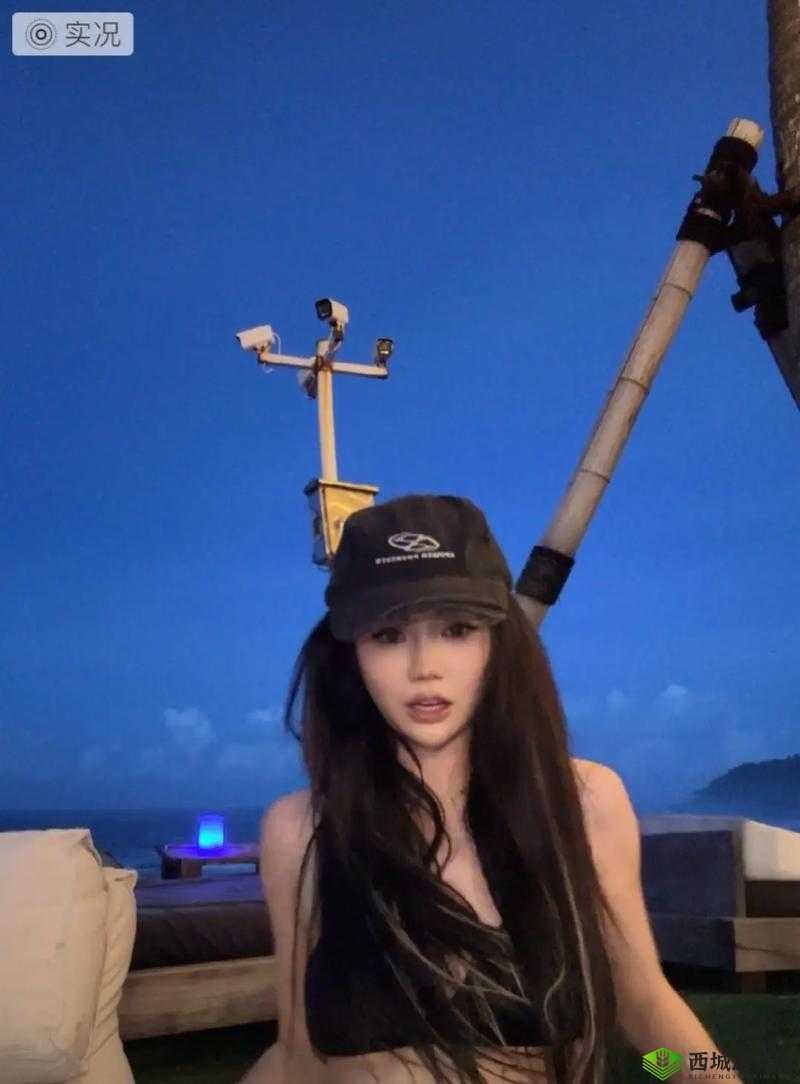 看 B 站播放,你想看的都在这里