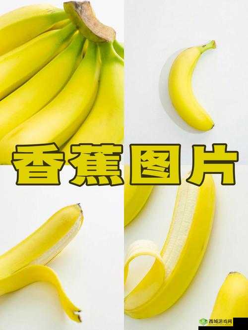 大香焦:美味与营养的完美结合