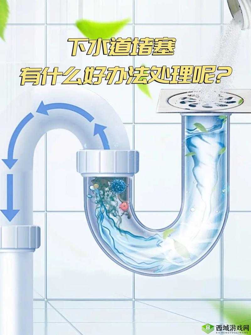 用大宝贝疏通妈妈的下水道好吗:家庭清洁的另类方法?