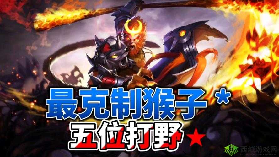 打牌克生猴子的视频大全之精彩合集