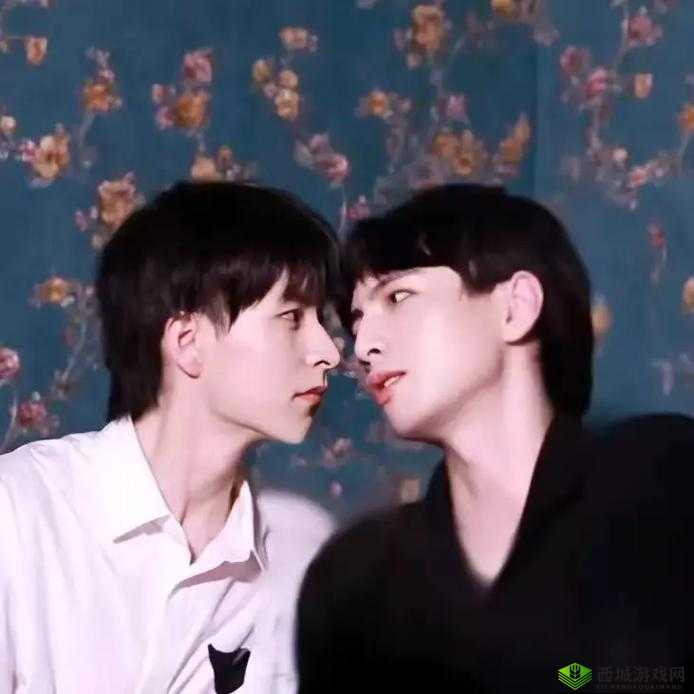 《清凉狂寻杨迪之种变身记》:关于《疯狂梗传》通关攻略