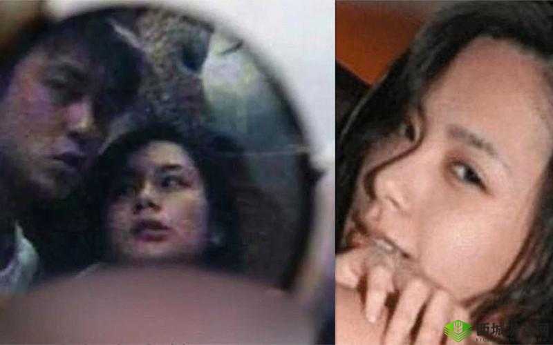 阿娇私密照事件:陈冠希舔吻阿娇私密部位