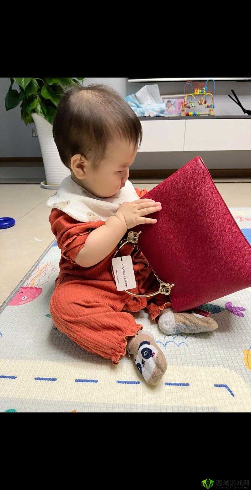 我开女儿外女包:这是怎么回事