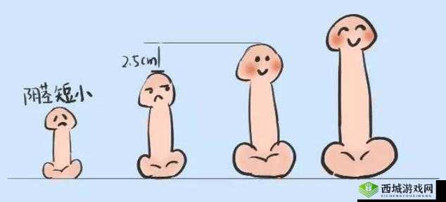 体育生手握十八厘米勃起:实力与自信的象征