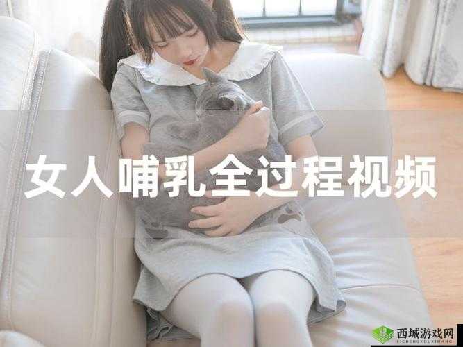 日本哺乳期 XXXXHD 相关内容探讨