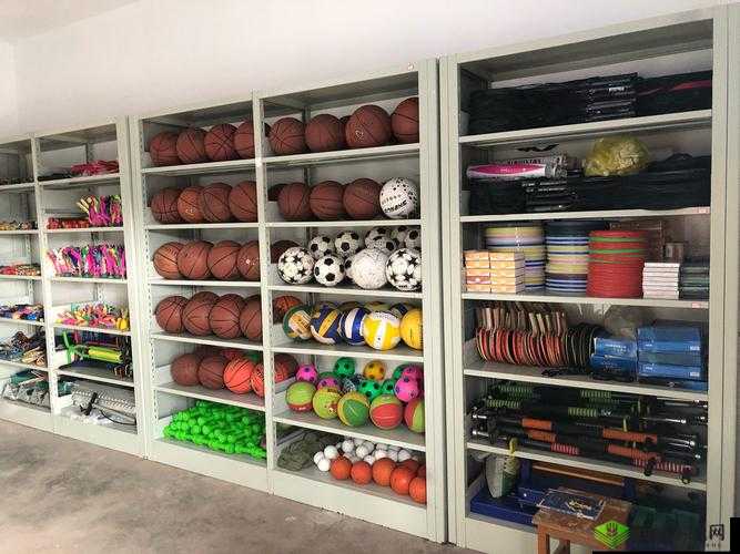 课后体育器材室:器材整理与保管