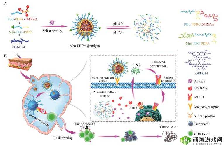 深度解析DOTA2减益免疫机制:策略运用与战斗优势揭秘