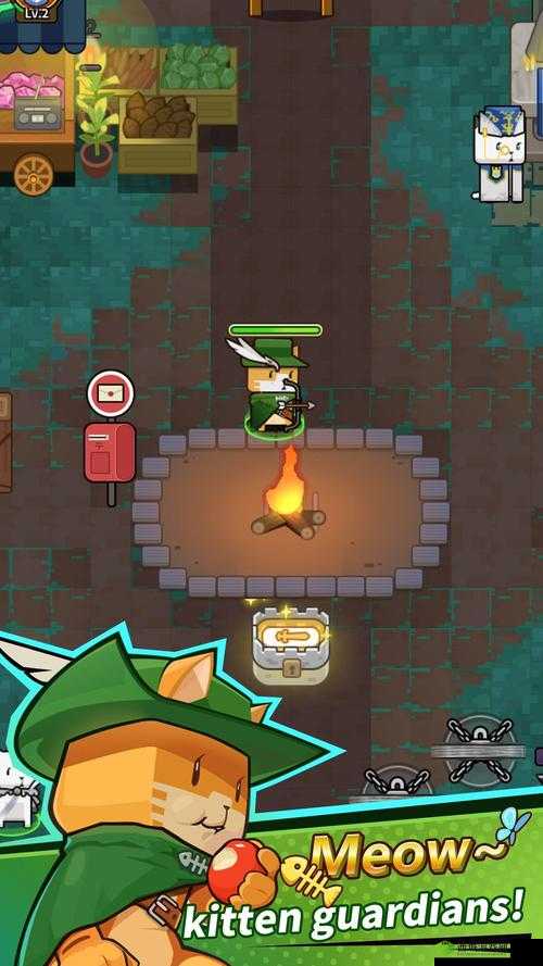 达猫小分队新手开局指南实用攻略