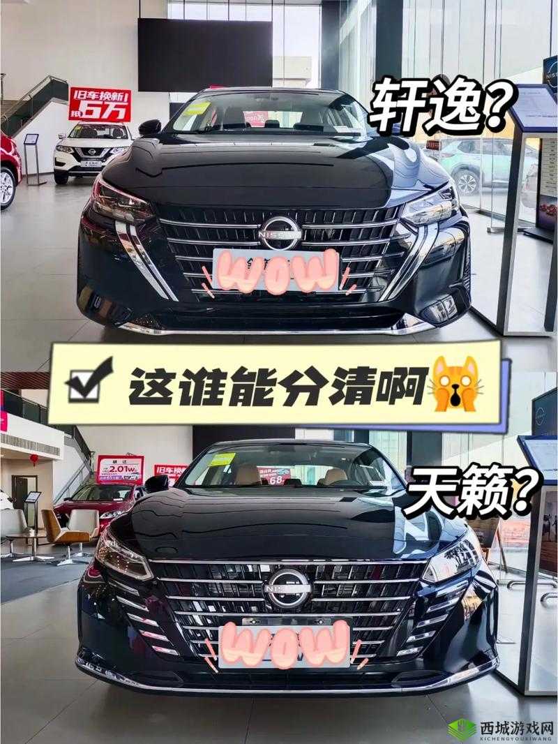 日产一二三区别免费必看:详细解读与分析