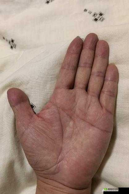 地灵曲中神秘舞娘染迹:身世、技能与命运的深度探寻之旅