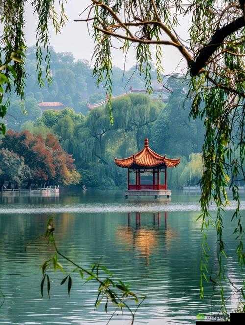 网论坛:之美,一网情深