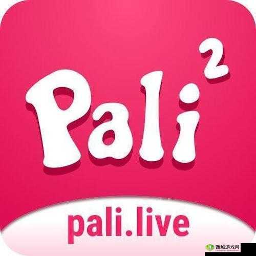 pali02 轻量版:高效便捷的工具