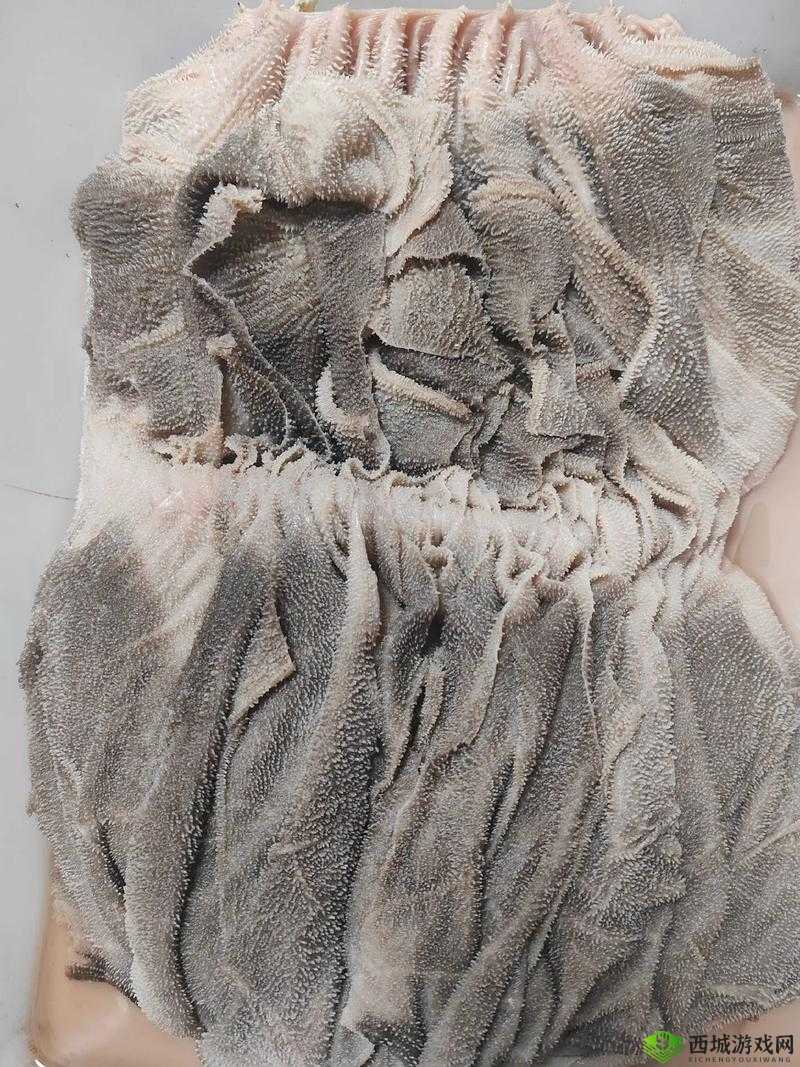 牛百叶是牛的什么部位:探寻其独特之处