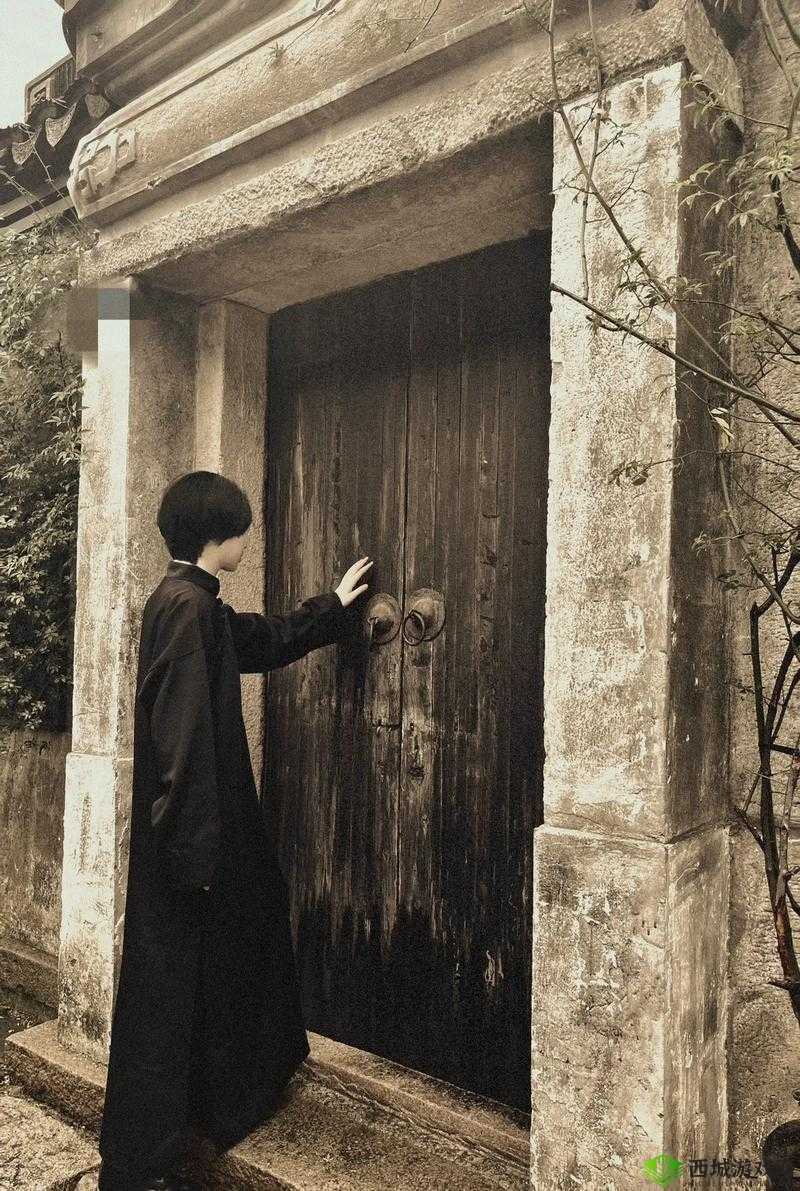 JY 改造系统人越变越美古代:盛世美颜的秘密