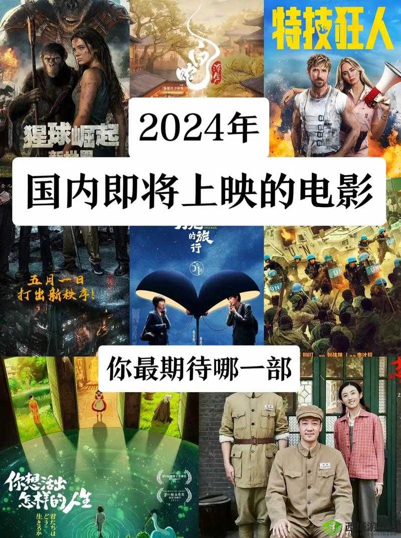 2024 年中国产电影佳作盘点:年度电影之光