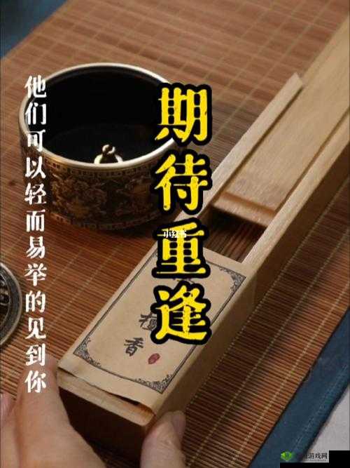 御花园太子妃沈音等我回来：期待重逢