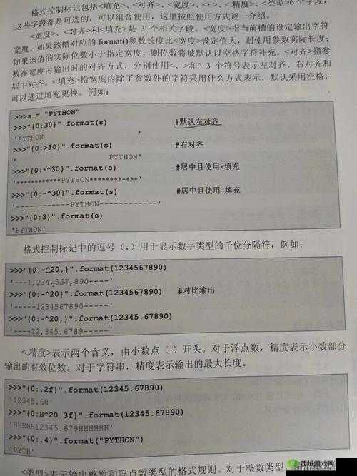 PYTHON 人狗大 CSDN:技术探讨与交流