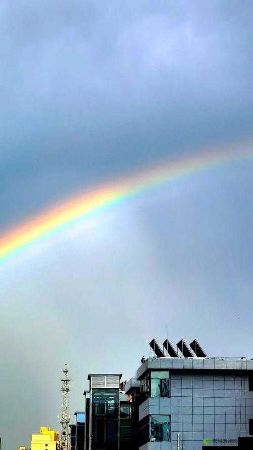 成色好的 Y31 一下子免费了发表:太惊喜