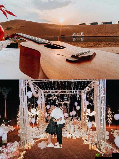 卧虎藏龙二：神秘求婚之旅